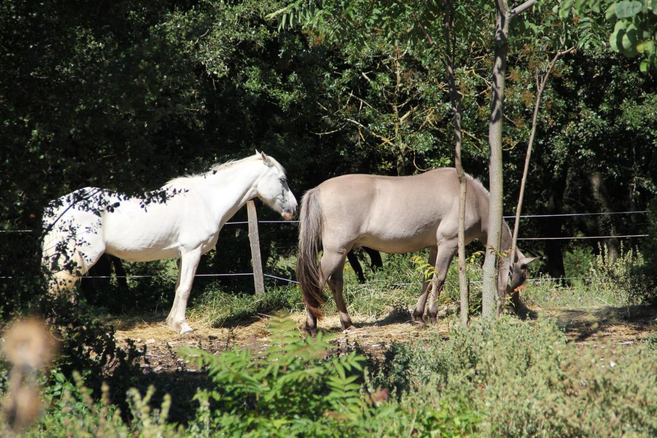 Studio Gard Calme Et Nature Russan Luaran gambar