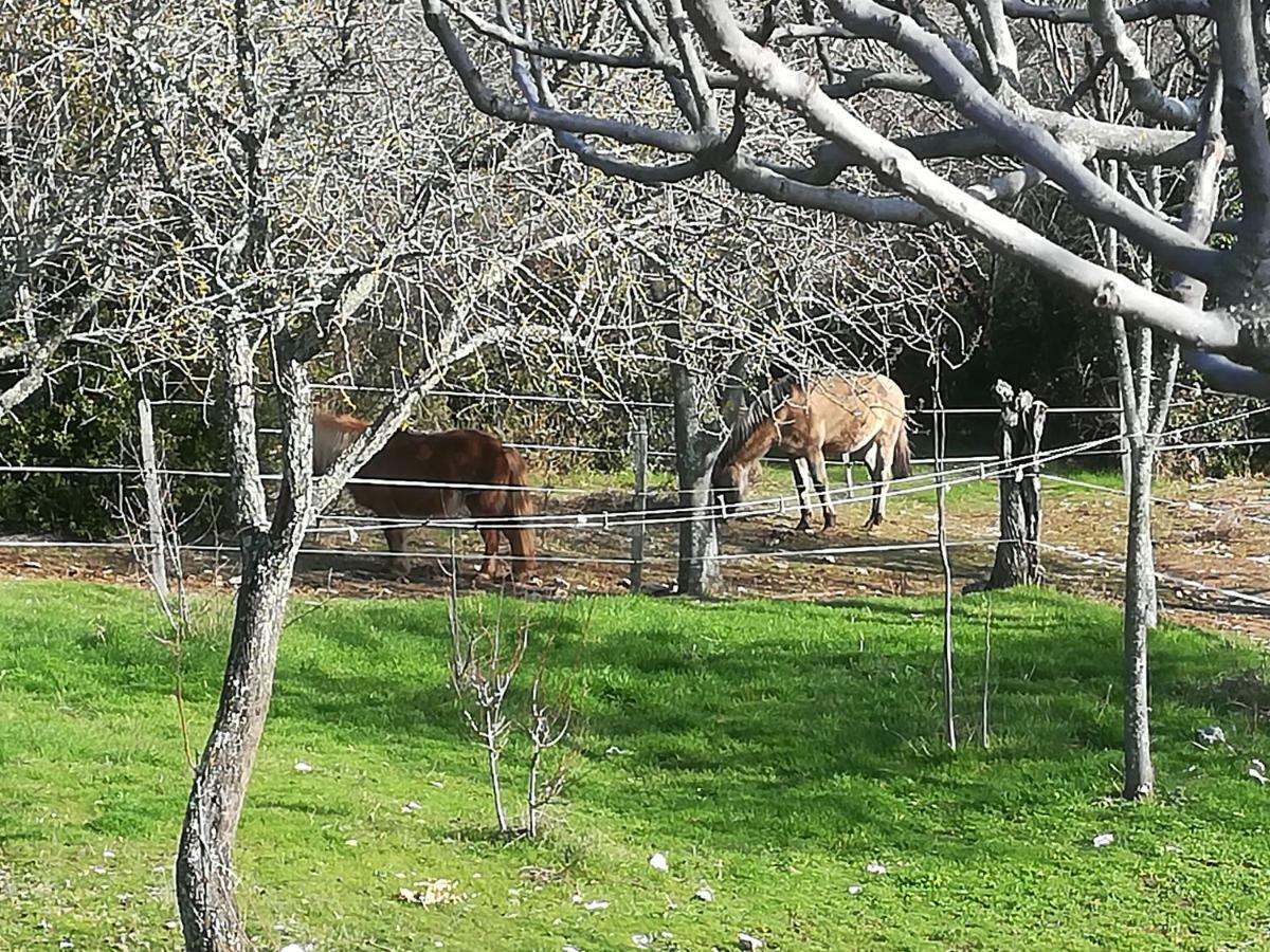 Studio Gard Calme Et Nature Russan Luaran gambar