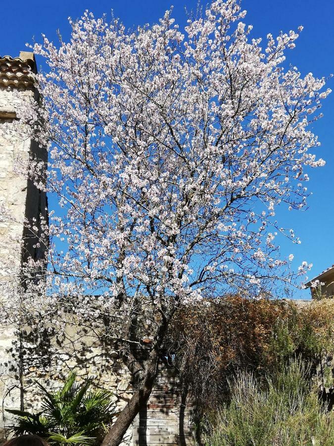 Studio Gard Calme Et Nature Russan Luaran gambar