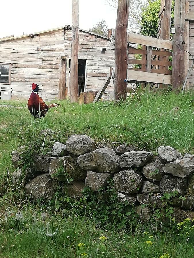 Studio Gard Calme Et Nature Russan Luaran gambar